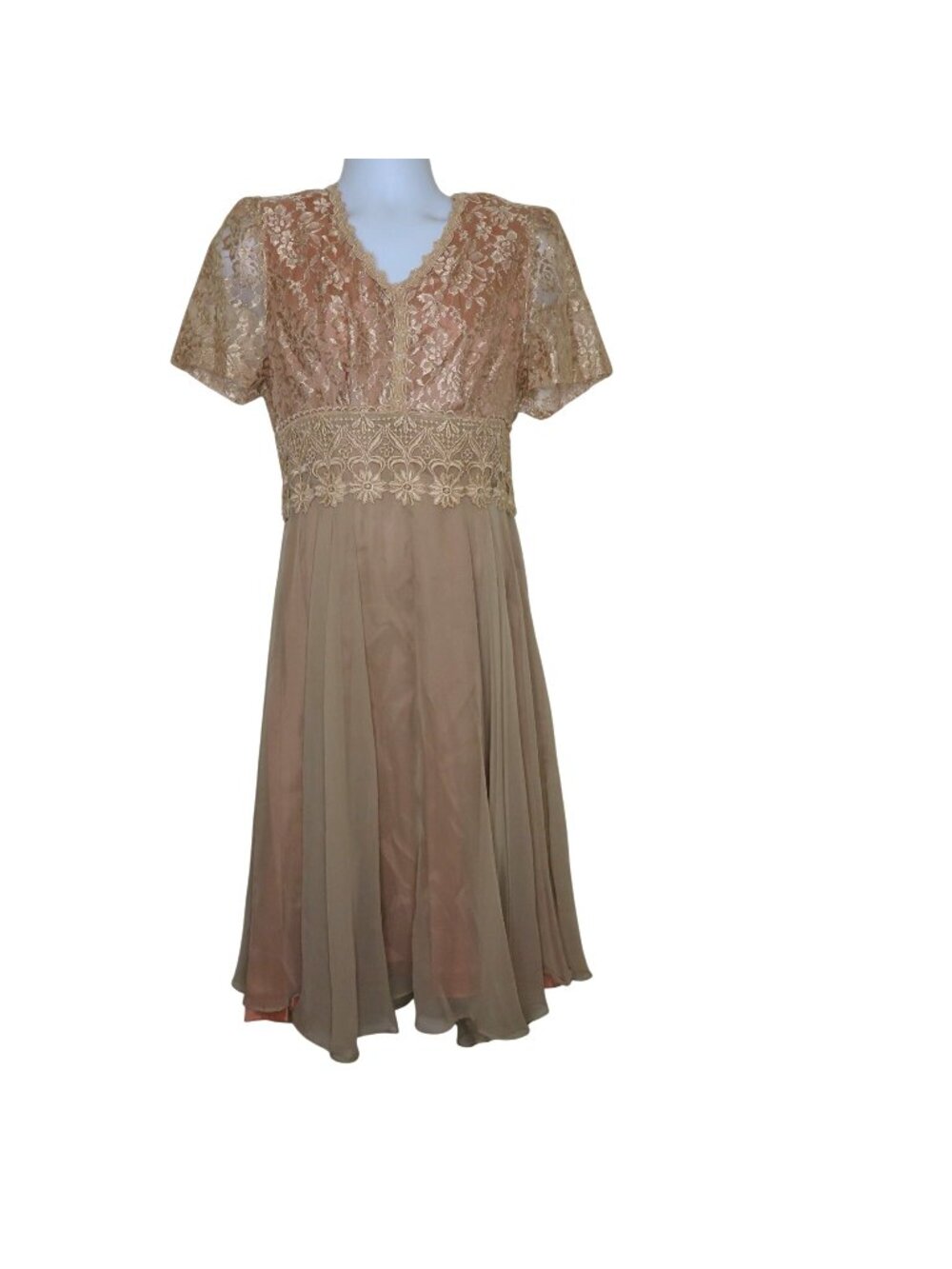 Vintage Floral Lace Chiffon Dress XL Mother of the Bride Formal Modest Romantic